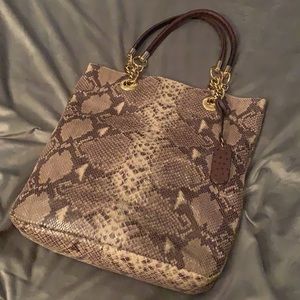 Snakeskin Purse